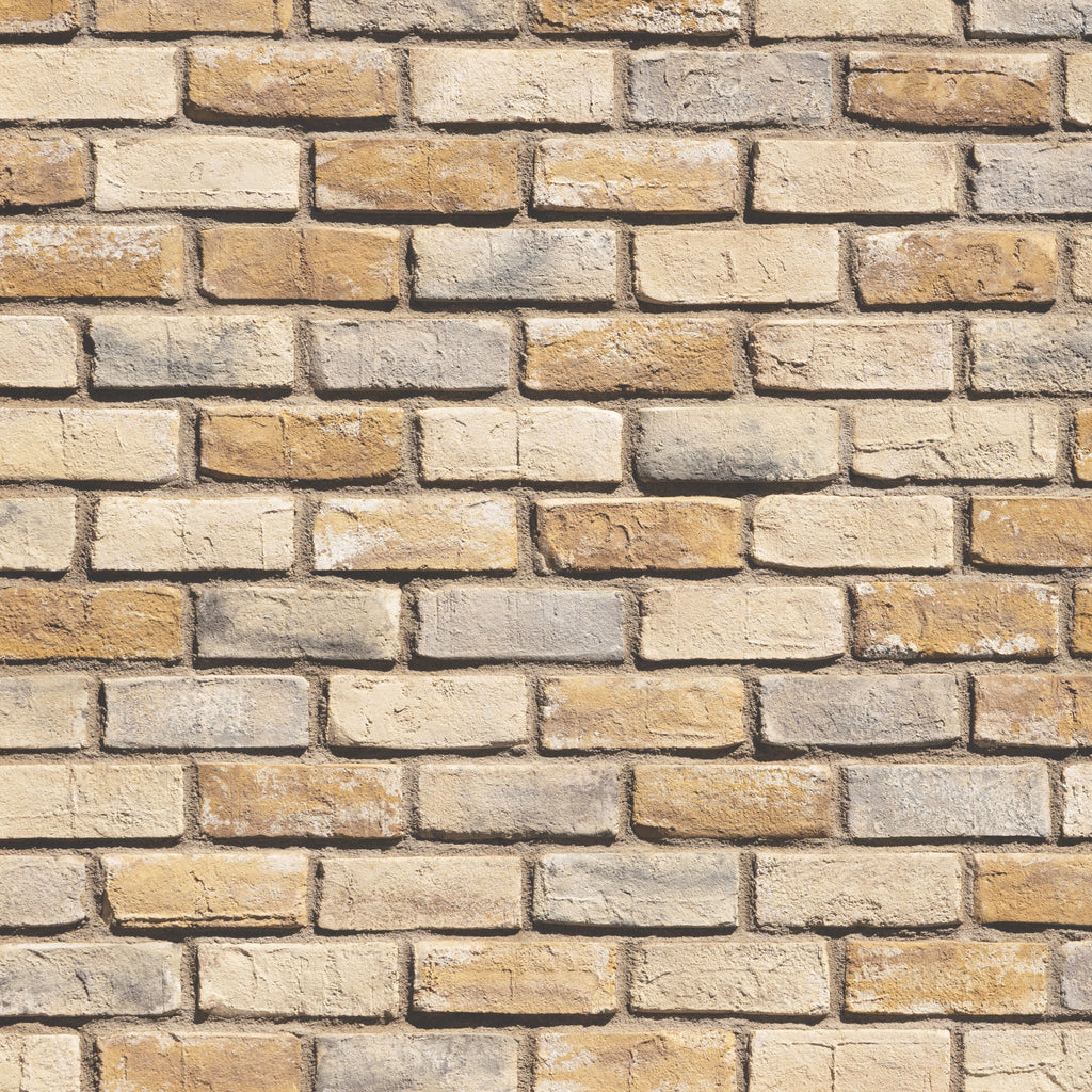 Brick wall featuring Burnthoney Cannery Brick Veneer by Creative Mines