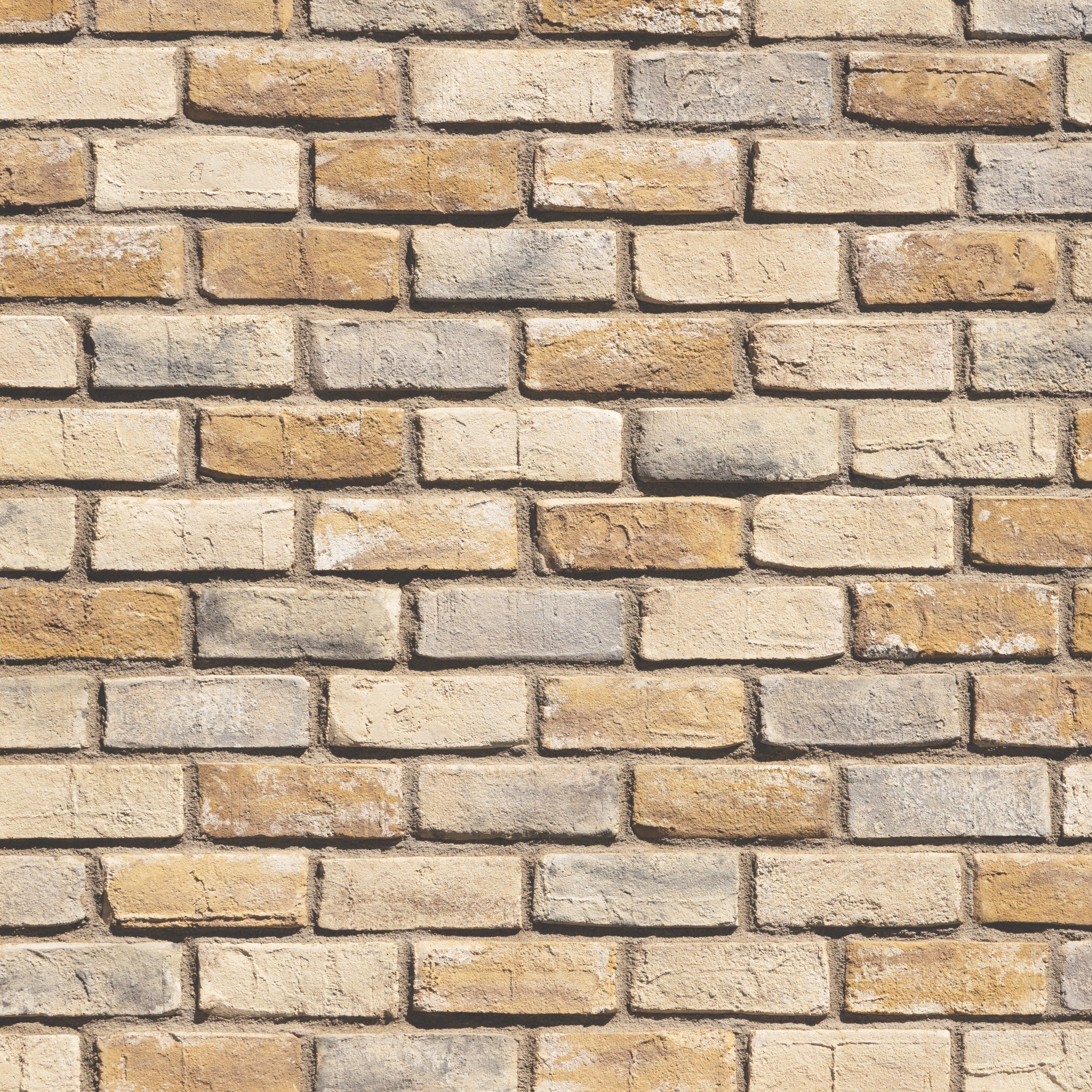 Burnthoney_Cannery_Brick_Venee