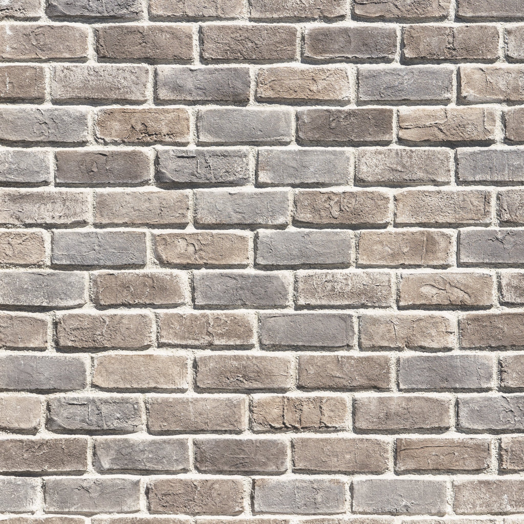 be'CRIE Pebblecreek Cannery Brick™ Veneer – Creative Mines Brick Store